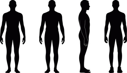 Human anatomy silhouette set showing front, side and standing poses in flat vector, human body male silhouette anatomy set, man body proportion silhouette icons