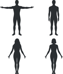 male female body silhouette anatomy set, human anatomy front view silhouette icons, man woman body proportion silhouettes