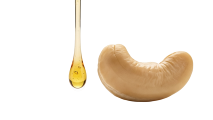 Cashew nut and honey drop isolated PNG on transparent background, healthy snack ingredient for dessert and cooking