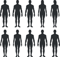 Human body anatomy silhouette collection showing front view standing figures in flat vector, body proportion silhouette figures collection, standing human figure silhouette icons isolated