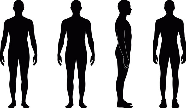Human anatomy silhouette set showing front, side and standing poses in flat vector, human body male silhouette anatomy set, man body proportion silhouette icons