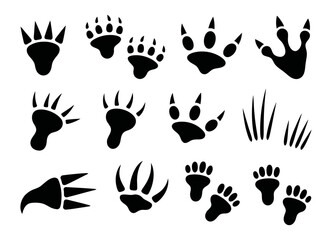 Fototapeta premium Collection of diverse animal paw prints and tracks illustrating various wild animal movements