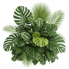 Fototapeta premium Tropical leaf collection isolated on transparent background