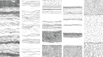 Detailed cross-sections of geological strata and organic wood grain textures presented in monochrome line style showcasing layered patterns and natural formations