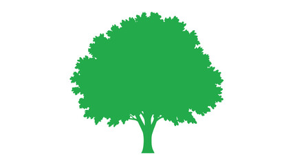 a green tree with a large canopy on a white background
