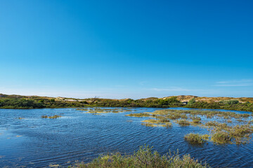 Small pond in the dunes of Egmond aan Zee in the Netherlands
