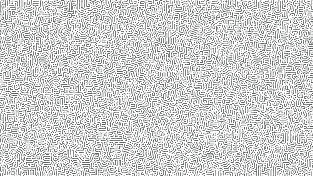 A dense and intricate abstract pattern resembling organic cellular structures or a maze formed by continuous, winding grey lines on a white background creating a complex visual texture