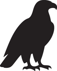 Black silhouette of a raven standing on the ground bird