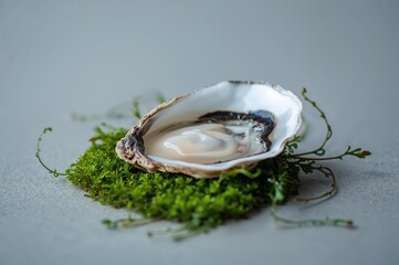 Single Nordic oyster resting on green seaweed in crisp minimal composition with texture