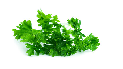 Fototapeta premium Greenery. Sprigs of curled parsley on a white background. Macro photo. High quality photo
