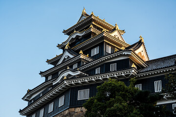 Naklejka premium Japan Okayama Okayama Castle Okayama Korakuen Garden