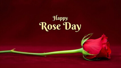A single red rose and text happy rose day on a maroon background