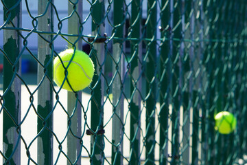 Tennis concept. Yellow tennis balls caught in the fence