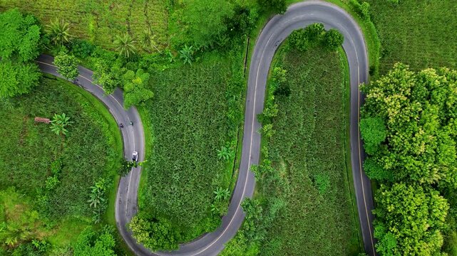4K Aerial Cinematic: Winding Road S-Curve Through Lush Green Forest in Malang