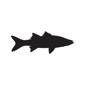 Snook Fish silhouette vector art white background