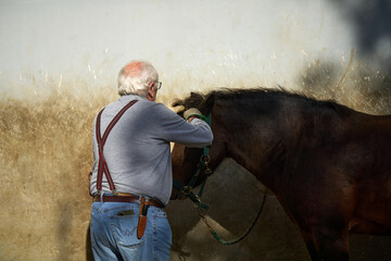 An elderly man adjusts a horse's head near a textured wall during daylight