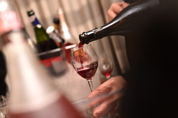 Lambrusco wine from Emilia Romagna region in Italy