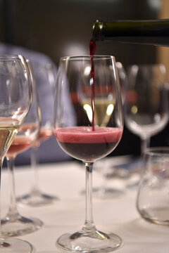 Lambrusco wine from Emilia Romagna region in Italy