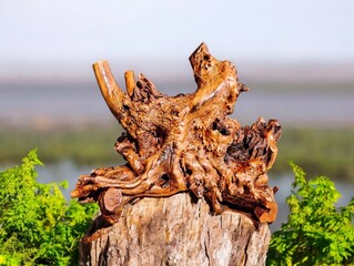 The Blurred viebackground in the image features decorative aquatic plants painted in a golden brown color, with beautiful shapes and artistic patterns at home decoration Or a work of art with vibran. 