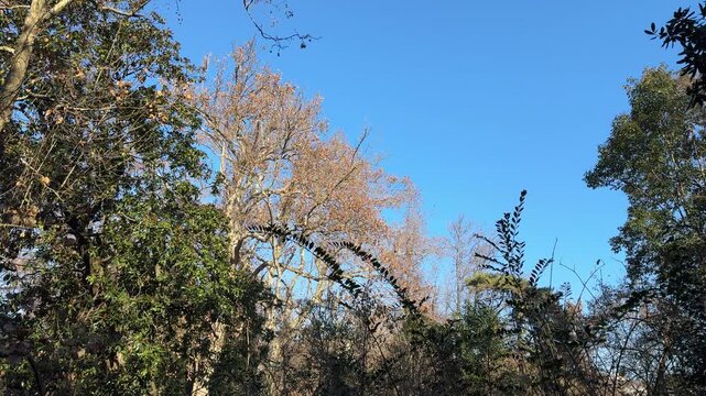 Indro Montanelli Public Gardens in Milan, historic urban park with trees and pathways
