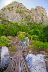 Wooden bridge in the forest with mountain in background,