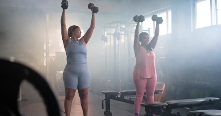 Diverse female friends starting set in gymwear doing dumbbell presses and curls for fitness at gym