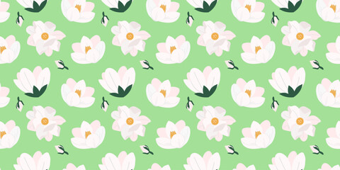 Seamless floral pattern with white magnolia blossoms on green background. vector