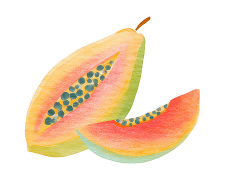 Papaya Paradise: Vibrant watercolor painting showcases sliced papaya, inviting culinary creativity and tropical vibes.