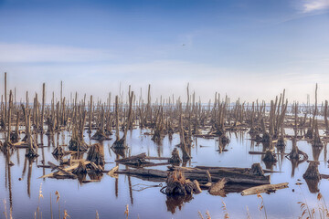 Entdecken - Peenetal