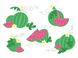 Isolated set of hand drawn watermelon. Fruit print. Sketch color juicy watermelons, slices, blossoms. Exotic tropical fresh fruit. Vector cartoon minimalistic flat style illustration. Doodle pattern