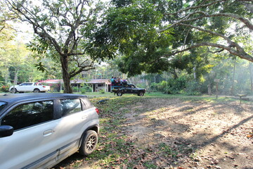 Caminata en el bosque