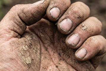 Hands covered in dirt display signs of hard work. The fingers are stained and worn, indicating long hours spent in planting or gardening