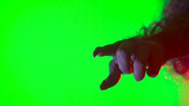 
a scary hand with claws, a wolf's paw, a werewolf's paw, and a monster's paw pointing forward on a green background