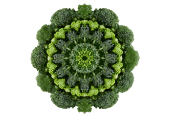 Broccoli mandala pattern in green symmetry