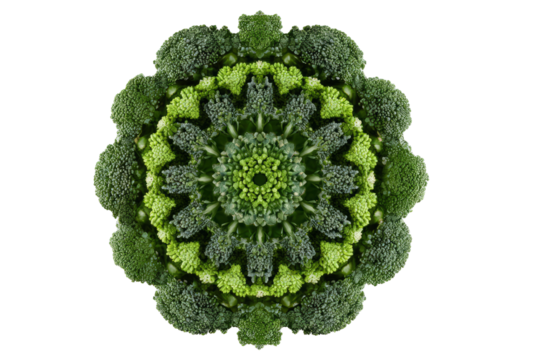 Broccoli mandala pattern in green symmetry - Powered by Adobe