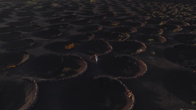 Aerial view shows La Geria vineyards in Lanzarote, Canary Islands. A person in a white dress walks along paths as warm low sun casts long shadows on dark sand.