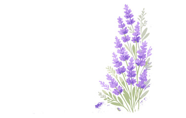 Obraz premium Elegant lavender flowers with green leaves on white background