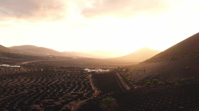 Aerial view of La Geria, Lanzarote, with volcanic cones, white farmhouses, a lone palm, and zocos around vines, slow drone sweep in warm light and haze.