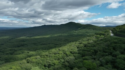 Lush green forest stretching across rolling hills under a dramatic cloudy sky with a winding road