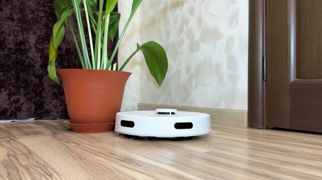 Robotic vacuum cleaner navigates around a potted plant on wooden floor, showcasing its movement and cleaning process while avoiding obstacles in a home environment