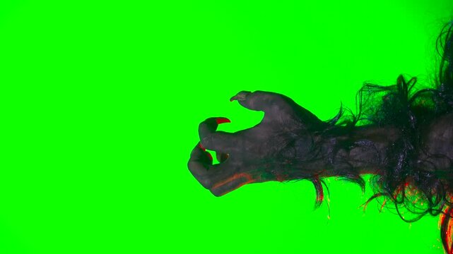 scary hand with claws wolf werewolf monster paw on a green background