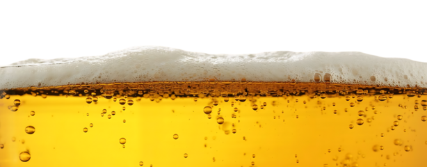 A close up view of frothy beer with golden liquid and tiny bubbles ideal for beverage branding on transparent background