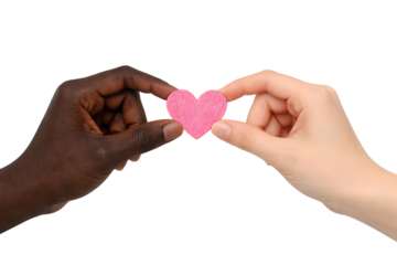 Two hands of different skin tones gently holding a vibrant pink heart symbol representing love and unity on transparent background