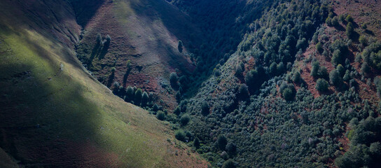 Aerial drone view of the landscape around San Pedro del Romeral. Pas-Miera region. Pasiegos Valleys. Cantabria. Spain. Europe