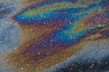 A shiny oil slick displays vibrant iridescent hues on wet asphalt.