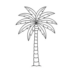 A detailed areca palm coloring page featuring graceful feathery fronds, perfect for adding shades of green and bringing tropical vibes to life.  © Ripa Roy