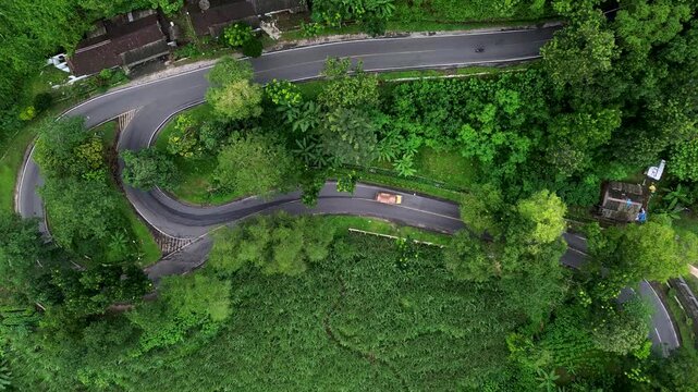 4K Aerial Cinematic: Winding Road S-Curve Through Lush Green Forest in Malang