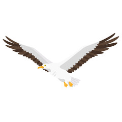 Fototapeta premium Albatross Illustration