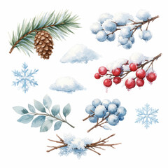 Watercolor winter elements pine cone snow covered berries and snowflakes
