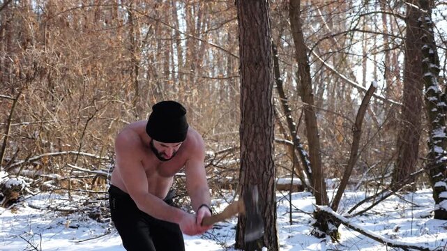 Shirtless muscular man plants an axe in stump at snowy forest. Strong guy flexes his biceps in playful stance showing endurance, power and confidence. The scene blends outdoor activity and strength
